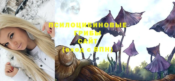 прущая мука Верхний Тагил